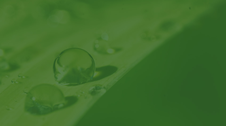 esg-pic-03